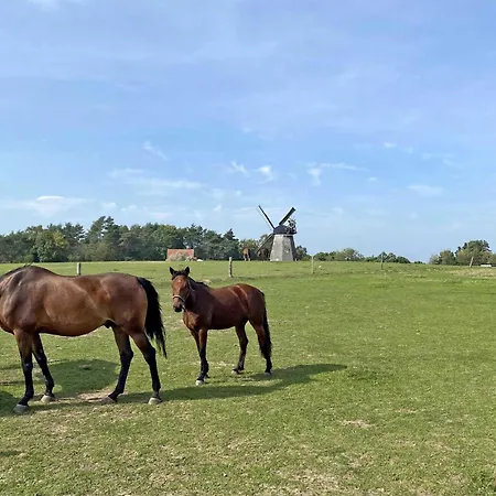 Ferienwohnung Benz-usedom * Benz